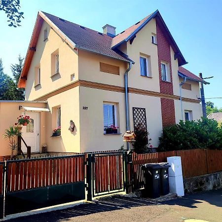 Ubytovani U Rybnicka Villa Arnoltice u Decina Buitenkant foto