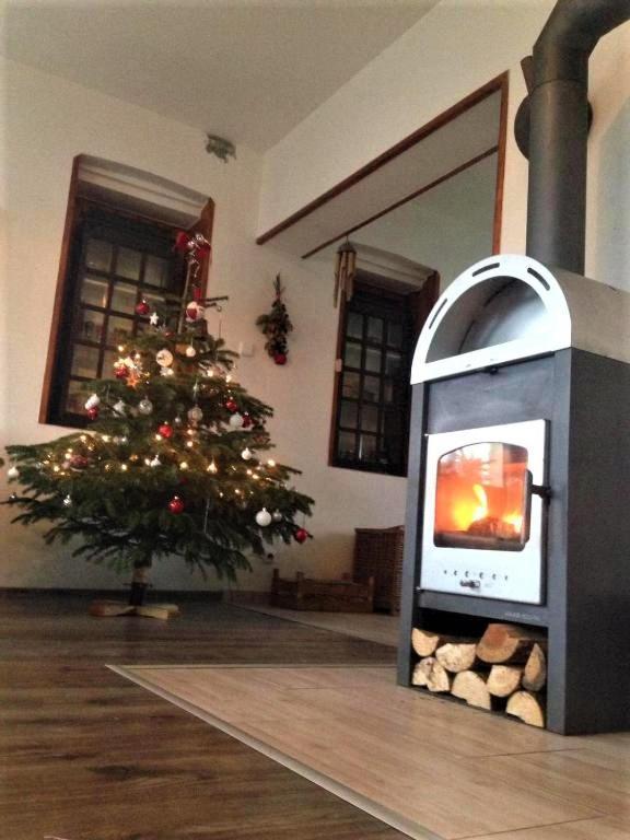 Ubytovani U Rybnicka Villa Arnoltice u Decina Buitenkant foto