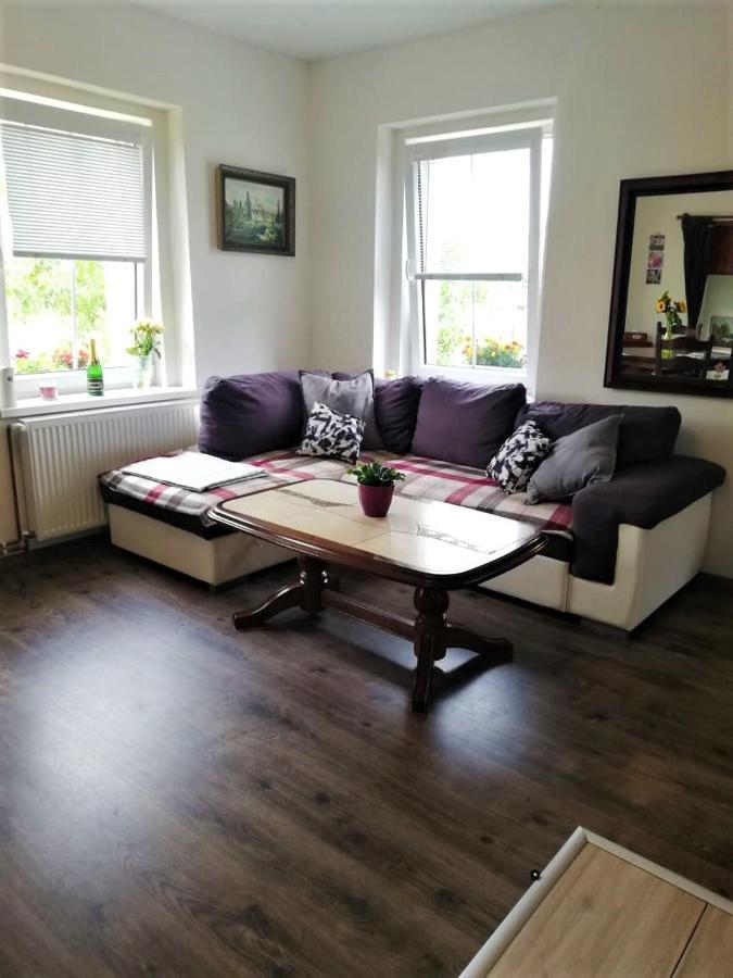 Ubytovani U Rybnicka Villa Arnoltice u Decina Buitenkant foto