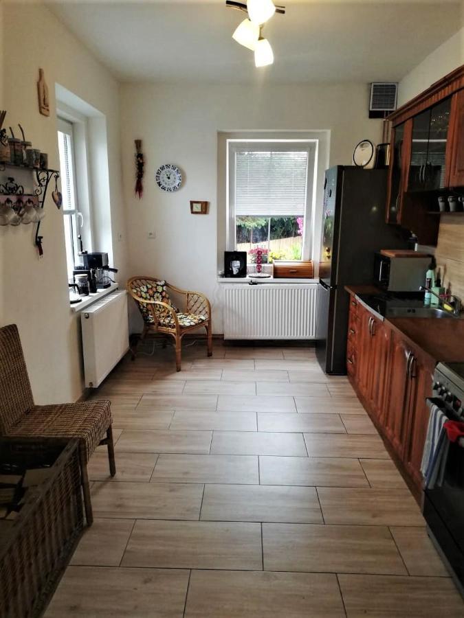 Ubytovani U Rybnicka Villa Arnoltice u Decina Buitenkant foto