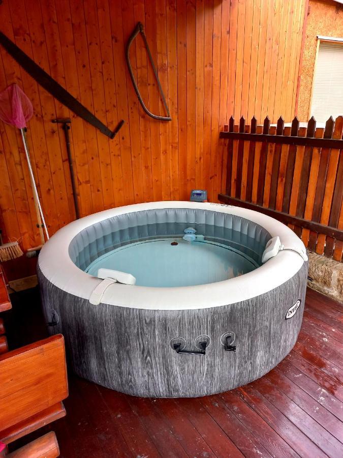 Ubytovani U Rybnicka Villa Arnoltice u Decina Buitenkant foto