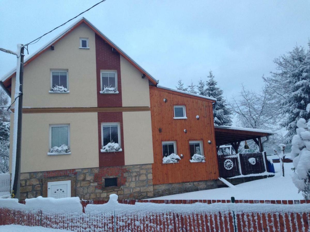 Ubytovani U Rybnicka Villa Arnoltice u Decina Buitenkant foto