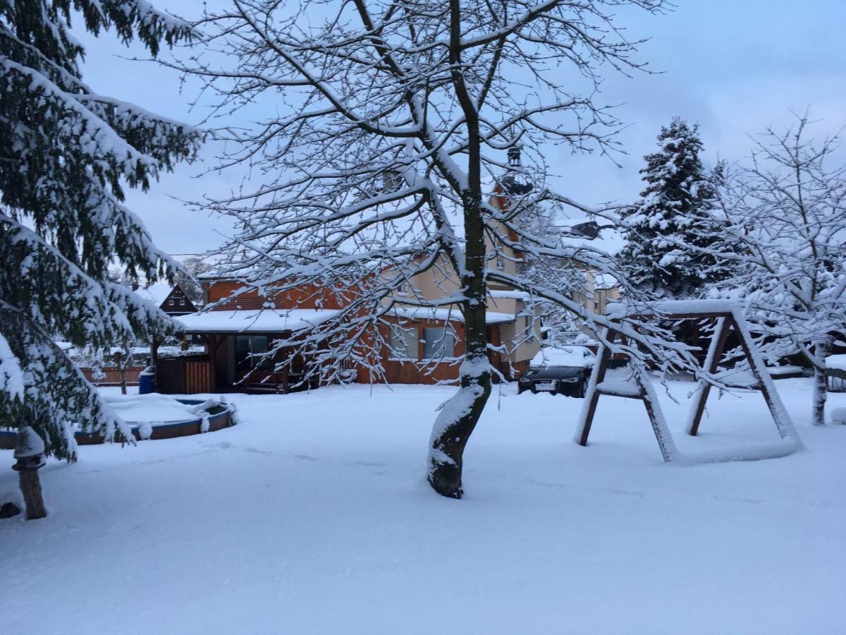 Ubytovani U Rybnicka Villa Arnoltice u Decina Buitenkant foto