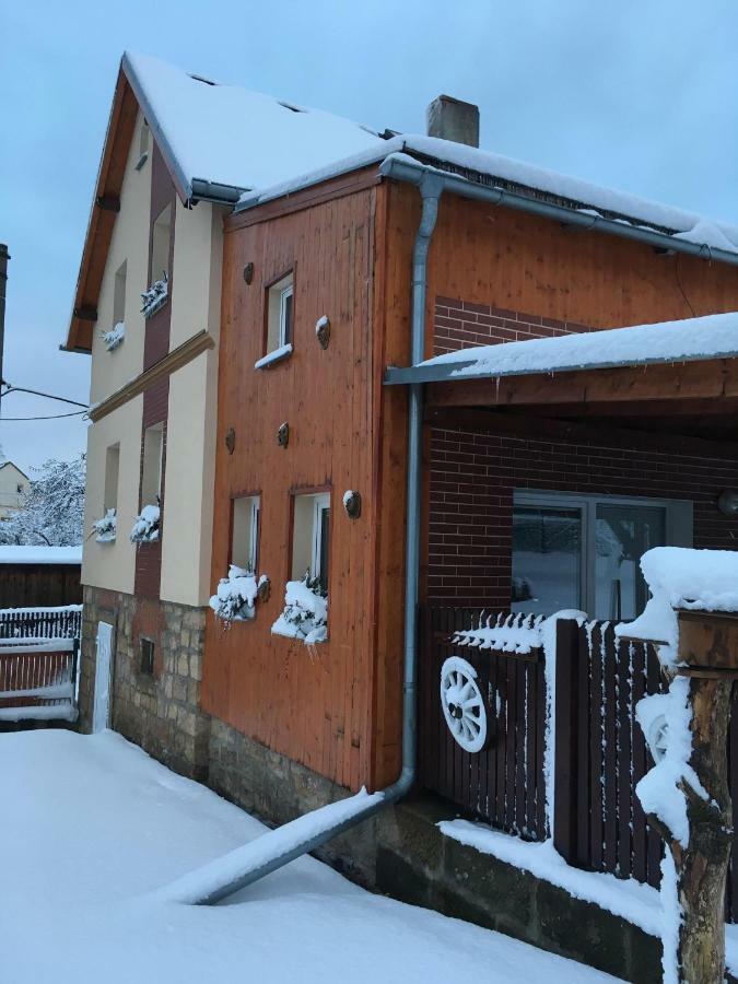 Ubytovani U Rybnicka Villa Arnoltice u Decina Buitenkant foto