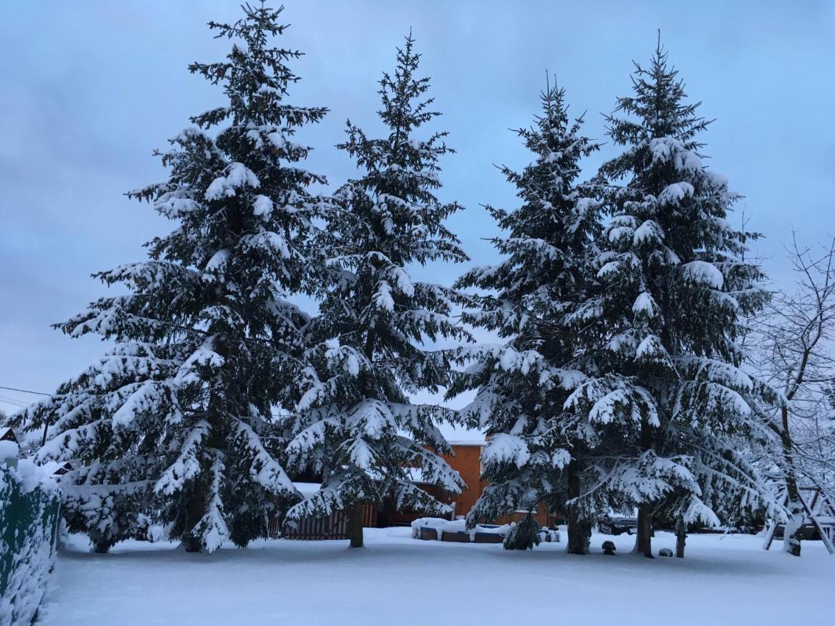 Ubytovani U Rybnicka Villa Arnoltice u Decina Buitenkant foto